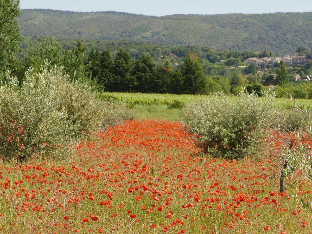 Chateau Des Gipieres Bij De Mont Ventoux Монбрен-ле-Бен Экстерьер фото