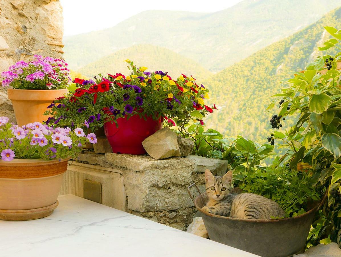 Chateau Des Gipieres Bij De Mont Ventoux Монбрен-ле-Бен Экстерьер фото