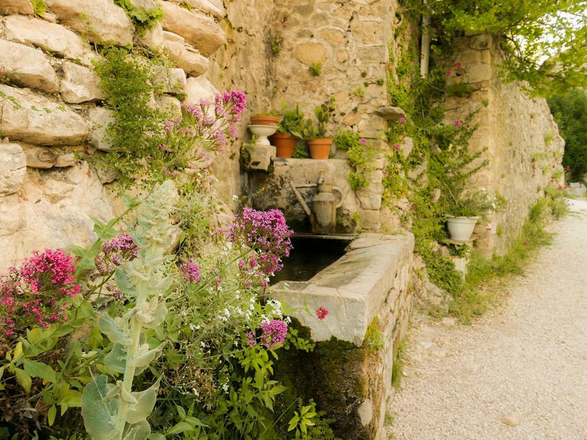Chateau Des Gipieres Bij De Mont Ventoux Монбрен-ле-Бен Экстерьер фото